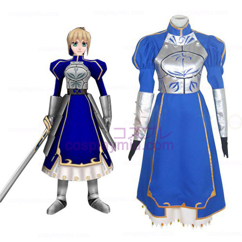 Fate Stay Cosplay Noite