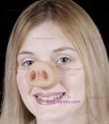 Do nariz do porco W / Elastic