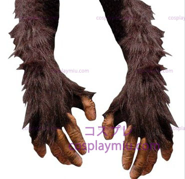 Mãos Chimpanzé